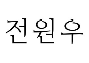 KPOP SEVENTEEN(세븐틴、セブンティーン) 원우 (ウォヌ) 応援ボード・うちわ　韓国語/ハングル文字型紙 通常