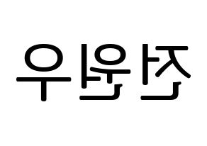 KPOP SEVENTEEN(세븐틴、セブンティーン) 원우 (ウォヌ) プリント用応援ボード型紙、うちわ型紙　韓国語/ハングル文字型紙 左右反転