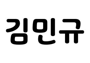 KPOP SEVENTEEN(세븐틴、セブンティーン) 민규 (ミンギュ) 応援ボード・うちわ　韓国語/ハングル文字型紙 通常