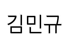 KPOP SEVENTEEN(세븐틴、セブンティーン) 민규 (ミンギュ) コンサート用　応援ボード・うちわ　韓国語/ハングル文字型紙 通常