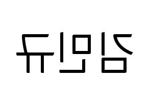 KPOP SEVENTEEN(세븐틴、セブンティーン) 민규 (ミンギュ) コンサート用　応援ボード・うちわ　韓国語/ハングル文字型紙 左右反転