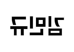 KPOP SEVENTEEN(세븐틴、セブンティーン) 민규 (ミンギュ) k-pop アイドル名前 ファンサボード 型紙 左右反転