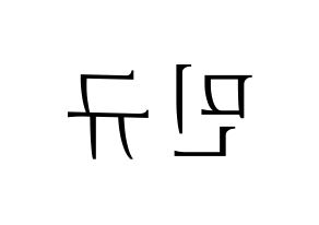 KPOP SEVENTEEN(세븐틴、セブンティーン) 민규 (ミンギュ) 応援ボード・うちわ　韓国語/ハングル文字型紙 左右反転