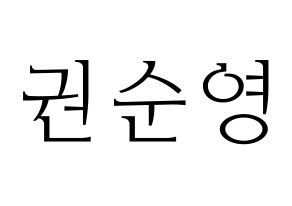 KPOP SEVENTEEN(세븐틴、セブンティーン) 호시 (ホシ) 応援ボード・うちわ　韓国語/ハングル文字型紙 通常