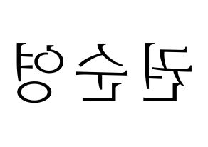 KPOP SEVENTEEN(세븐틴、セブンティーン) 호시 (ホシ) 応援ボード・うちわ　韓国語/ハングル文字型紙 左右反転