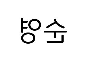 KPOP SEVENTEEN(세븐틴、セブンティーン) 호시 (ホシ) コンサート用　応援ボード・うちわ　韓国語/ハングル文字型紙 左右反転