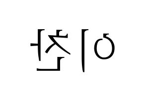 KPOP SEVENTEEN(세븐틴、セブンティーン) 디노 (ディノ) 応援ボード・うちわ　韓国語/ハングル文字型紙 左右反転