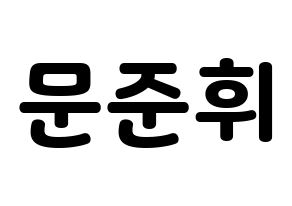 KPOP SEVENTEEN(세븐틴、セブンティーン) 준 (ジュン) 応援ボード・うちわ　韓国語/ハングル文字型紙 通常