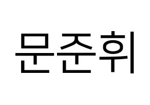 KPOP SEVENTEEN(세븐틴、セブンティーン) 준 (ジュン) プリント用応援ボード型紙、うちわ型紙　韓国語/ハングル文字型紙 通常
