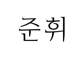 KPOP SEVENTEEN(세븐틴、セブンティーン) 준 (ジュン) 応援ボード・うちわ　韓国語/ハングル文字型紙 通常