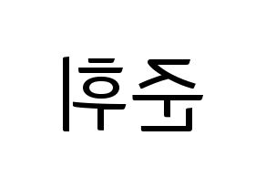 KPOP SEVENTEEN(세븐틴、セブンティーン) 준 (ジュン) コンサート用　応援ボード・うちわ　韓国語/ハングル文字型紙 左右反転