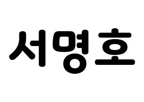 KPOP SEVENTEEN(세븐틴、セブンティーン) 디에잇 (ディエイト) 応援ボード・うちわ　韓国語/ハングル文字型紙 通常