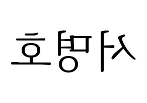 KPOP SEVENTEEN(세븐틴、セブンティーン) 디에잇 (ディエイト) 応援ボード・うちわ　韓国語/ハングル文字型紙 左右反転
