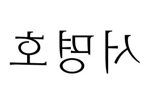 KPOP SEVENTEEN(세븐틴、セブンティーン) 디에잇 (ディエイト) 応援ボード・うちわ　韓国語/ハングル文字型紙 左右反転