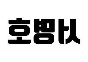 KPOP SEVENTEEN(세븐틴、セブンティーン) 디에잇 (ディエイト) コンサート用　応援ボード・うちわ　韓国語/ハングル文字型紙 左右反転