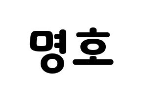 KPOP SEVENTEEN(세븐틴、セブンティーン) 디에잇 (ディエイト) 応援ボード・うちわ　韓国語/ハングル文字型紙 通常