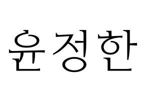 KPOP SEVENTEEN(세븐틴、セブンティーン) 정한 (ジョンハン) 応援ボード・うちわ　韓国語/ハングル文字型紙 通常