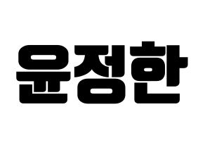 KPOP SEVENTEEN(세븐틴、セブンティーン) 정한 (ジョンハン) コンサート用　応援ボード・うちわ　韓国語/ハングル文字型紙 通常