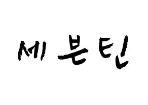 KPOP歌手 SEVENTEEN(세븐틴、セブンティーン) 応援ボード型紙、うちわ型紙　韓国語/ハングル文字 通常