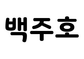 KPOP SF9(에스에프나인、エスエフナイン) 주호 (ジュホ) 応援ボード・うちわ　韓国語/ハングル文字型紙 通常
