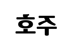 KPOP SF9(에스에프나인、エスエフナイン) 주호 (ジュホ) コンサート用　応援ボード・うちわ　韓国語/ハングル文字型紙 左右反転