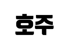KPOP SF9(에스에프나인、エスエフナイン) 주호 (ジュホ) コンサート用　応援ボード・うちわ　韓国語/ハングル文字型紙 左右反転