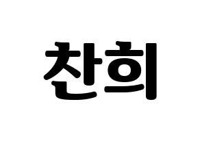 KPOP SF9(에스에프나인、エスエフナイン) 찬희 (チャニ) コンサート用　応援ボード・うちわ　韓国語/ハングル文字型紙 通常
