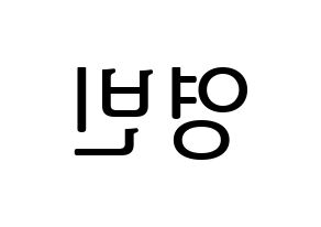 KPOP SF9(에스에프나인、エスエフナイン) 영빈 (ヨンビン) プリント用応援ボード型紙、うちわ型紙　韓国語/ハングル文字型紙 左右反転