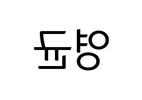 KPOP SF9(에스에프나인、エスエフナイン) 휘영 (フィヨン) コンサート用　応援ボード・うちわ　韓国語/ハングル文字型紙 左右反転