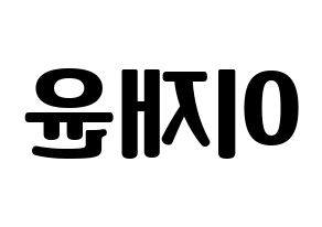 KPOP SF9(에스에프나인、エスエフナイン) 재윤 (ジェユン) コンサート用　応援ボード・うちわ　韓国語/ハングル文字型紙 左右反転