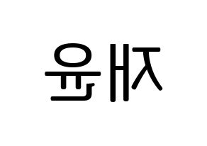 KPOP SF9(에스에프나인、エスエフナイン) 재윤 (ジェユン) プリント用応援ボード型紙、うちわ型紙　韓国語/ハングル文字型紙 左右反転