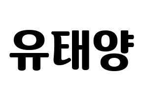 KPOP SF9(에스에프나인、エスエフナイン) 태양 (テヤン) コンサート用　応援ボード・うちわ　韓国語/ハングル文字型紙 通常