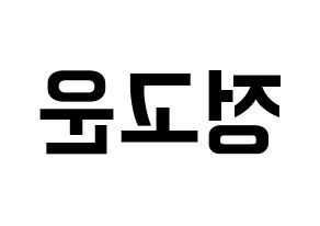KPOP SHA SHA(샤샤、シャシャ) 고운 (コウン) k-pop アイドル名前 ファンサボード 型紙 左右反転