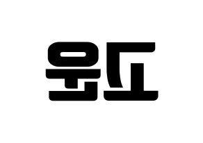 KPOP SHA SHA(샤샤、シャシャ) 고운 (コウン) コンサート用　応援ボード・うちわ　韓国語/ハングル文字型紙 左右反転