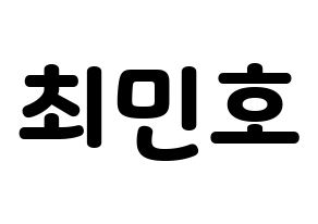 KPOP SHINee(샤이니、シャイニー) 민호 (ミンホ) 応援ボード・うちわ　韓国語/ハングル文字型紙 通常