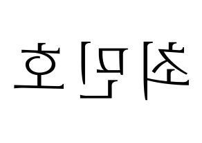 KPOP SHINee(샤이니、シャイニー) 민호 (ミンホ) 応援ボード・うちわ　韓国語/ハングル文字型紙 左右反転