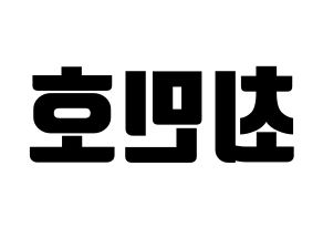 KPOP SHINee(샤이니、シャイニー) 민호 (ミンホ) コンサート用　応援ボード・うちわ　韓国語/ハングル文字型紙 左右反転