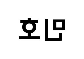 KPOP SHINee(샤이니、シャイニー) 민호 (チェ・ミンホ, ミンホ) 応援ボード、うちわ無料型紙、応援グッズ 左右反転