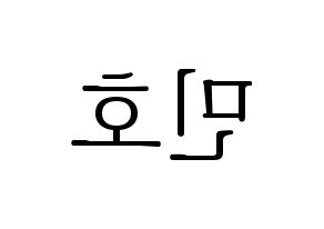 KPOP SHINee(샤이니、シャイニー) 민호 (ミンホ) 応援ボード・うちわ　韓国語/ハングル文字型紙 左右反転
