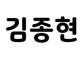 KPOP SHINee(샤이니、シャイニー) 종현 (ジョンヒョン) 応援ボード・うちわ　韓国語/ハングル文字型紙 通常