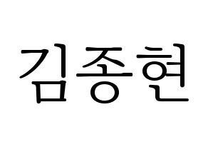 KPOP SHINee(샤이니、シャイニー) 종현 (ジョンヒョン) 応援ボード・うちわ　韓国語/ハングル文字型紙 通常