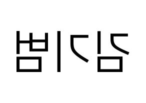 KPOP SHINee(샤이니、シャイニー) 키 (キー) プリント用応援ボード型紙、うちわ型紙　韓国語/ハングル文字型紙 左右反転