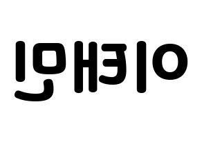 KPOP SHINee(샤이니、シャイニー) 태민 (テミン) 応援ボード・うちわ　韓国語/ハングル文字型紙 左右反転