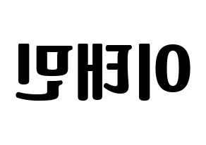 KPOP SHINee(샤이니、シャイニー) 태민 (テミン) コンサート用　応援ボード・うちわ　韓国語/ハングル文字型紙 左右反転