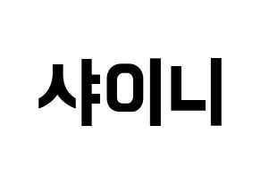 KPOP SHINee(샤이니、シャイニー) k-pop ファンサ ボード 型紙 通常