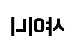 KPOP SHINee(샤이니、シャイニー) k-pop ファンサ ボード 型紙 左右反転