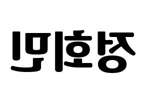 KPOP South Club(사우스클럽、サウスクラブ) 정회민 (チョン・フェミン) コンサート用　応援ボード・うちわ　韓国語/ハングル文字型紙 左右反転