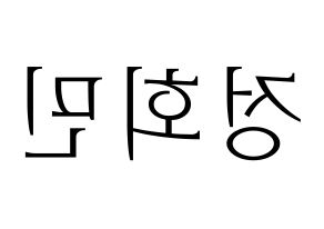 KPOP South Club(사우스클럽、サウスクラブ) 정회민 (チョン・フェミン) 応援ボード・うちわ　韓国語/ハングル文字型紙 左右反転