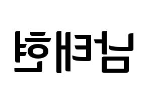 KPOP South Club(사우스클럽、サウスクラブ) 남태현 (ナム・テヒョン) k-pop アイドル名前 ファンサボード 型紙 左右反転