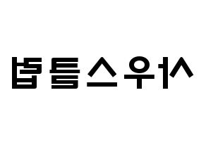 KPOP歌手 South Club(사우스클럽、サウスクラブ) 応援ボード型紙、うちわ型紙　韓国語/ハングル文字 左右反転